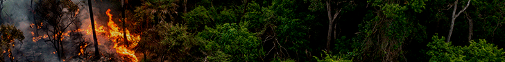BANNER-QUEIMADAS–728-x90